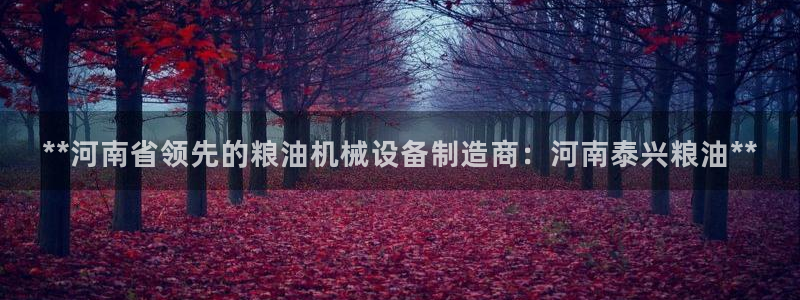 九游会官网首页进入吗