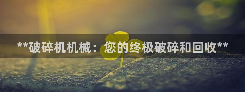 九游会登不上