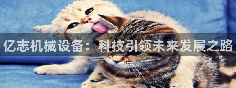 九游会官网网页版